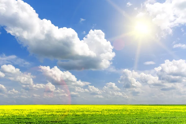 parlak mavi bulutlu gökyüzü ve güneş ile taze yeşil çimen