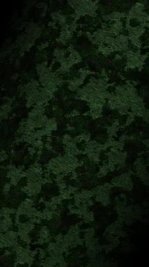 Derin Orman Yeşil Kadife Kumaş Yapısı Tarafsız Stüdyo Arkaplanında İçi Konforlu İçin Yumuşak Döner