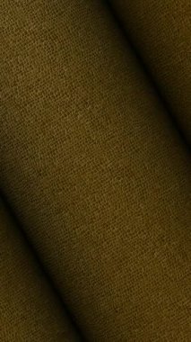 Zarif Lüks Arkaplan Olarak Egzotik Sürüngen Desenli Detaylı Rolls Dönüşümlü Zeytin Timsahı Deri DokusuName