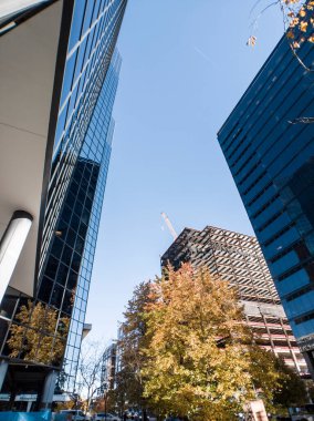 Bellevue, WA / USA - 27 Ekim 2019: Bellevue, WA 'da sakin bir öğleden sonra trafik ve binaların sokak manzarası.