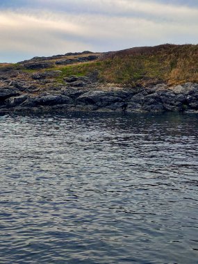 San Juan Adası 'ndaki Pasifik Okyanusu yakınlarındaki çimenli bir arazinin altındaki Rocky kıyı şeridi.