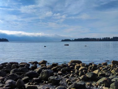San Juan Adası, WA 'daki False Bay' in Rocky sahili güneşli bir günde sular çekildikten sonra yeniden doluyor.