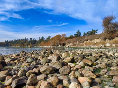 San Juan Adası, WA 'daki False Bay' in Rocky sahili güneşli bir günde sular çekildikten sonra yeniden doluyor.