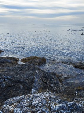 San Juan Adası, WA 'daki Cuma Limanı' nın Rocky kıyı şeridi bulutlu bir günde