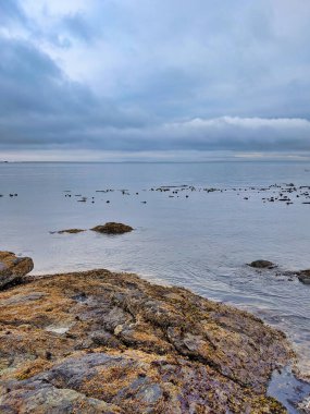 San Juan Adası, WA 'daki Cuma Limanı' nın Rocky kıyı şeridi bulutlu bir günde