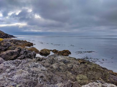 San Juan Adası, WA 'daki Cuma Limanı' nın Rocky kıyı şeridi bulutlu bir günde