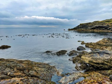 San Juan Adası, WA 'daki Cuma Limanı' nın Rocky kıyı şeridi bulutlu bir günde