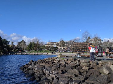 Kirkland, WA / USA - Ocak 2020: İnsanlar fotoğraf çekiyor, deniz kenarında yürüyor ve güzel, güneşli bir günde Washington Gölü 'nde oynuyorlar..