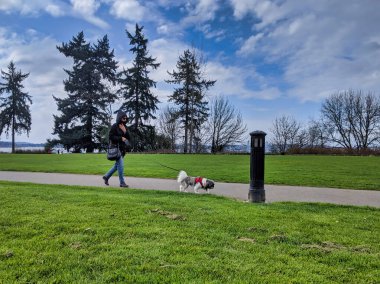 COVID-19 Coronavirus paniğinin ortasında maskeli ve köpeğini parkta gezdiren dikkatli bir insan.