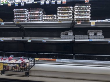 Seattle, WA / USA - Mart 2020: Covid-19 sığınağı sırasında Safeway 'de düşük miktarda yumurta stoku.