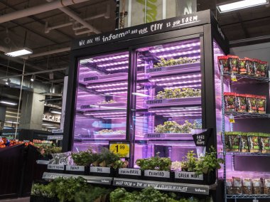 Kirkland, WA / USA - Nisan 2020 dolaylarında: Kirkland şehir merkezindeki QFC marketi, lahana, nane, kişniş, dereotu ve diğer yeşilliklerin yer aldığı Infarm 'dan yetiştirilmiş ürünlerini sergilemektedir.