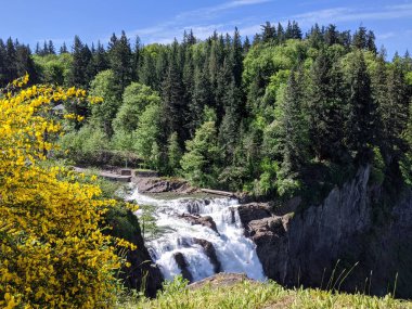 Snoqualmie, WA / USA - Mayıs 2020: Parlak, güneşli bir günde Snoqualmie Falls manzarası.