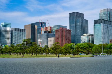 Toyko, Japonya - 10 Nisan 2019 Bir bahar öğleden sonra İmparatorluk Sarayı 'nın Doğu Bahçeleri.