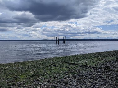 WA, WA 'daki Joemma Sahili Eyalet Parkı' nın geniş, açık manzaralı, güneşli bir günde