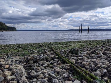 WA, WA 'daki Joemma Sahili Eyalet Parkı' nın geniş, açık manzaralı, güneşli bir günde
