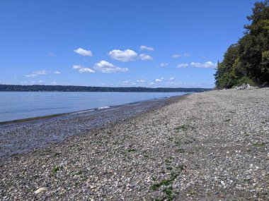 WA, WA 'daki Joemma Sahili Eyalet Parkı' nın geniş, açık manzaralı, güneşli bir günde