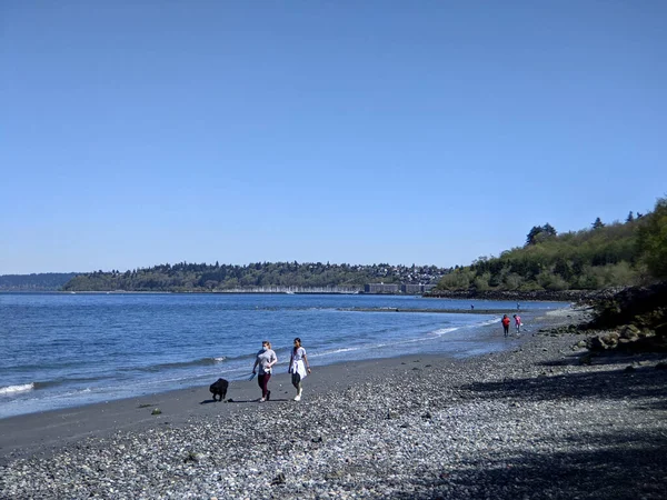 Seattle Usa Circa Abril 2021 Gente Paseando Perro Por Playa — Foto de Stock