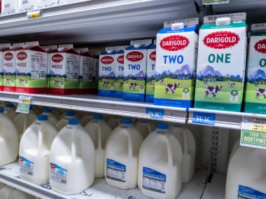 Woodinville, WA USA - Eylül 2021: Haggen bakkalında taze, soğuk süt manzarası.