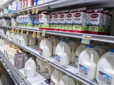 Woodinville, WA USA - Eylül 2021: Haggen bakkalında taze, soğuk süt manzarası.