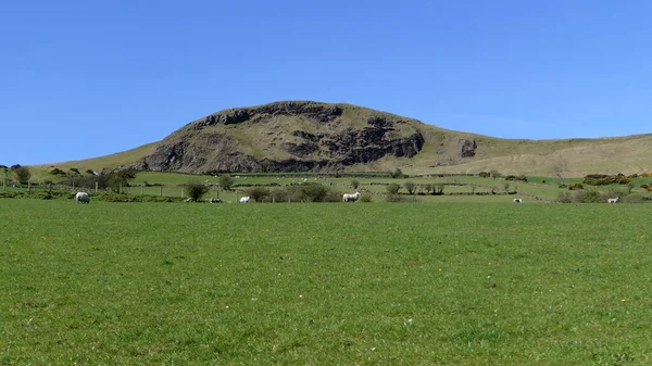 Scawt Mountain Hill Antrim Irlanda Norte — Fotografia de Stock