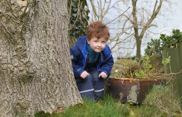 小男孩在树上玩得很开心 — 图库照片