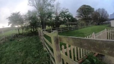 Coal Tits at a bird feeder in Slow Motion