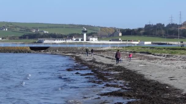 Beach Larne Harbour Antrim Northern Ireland — Video Stock