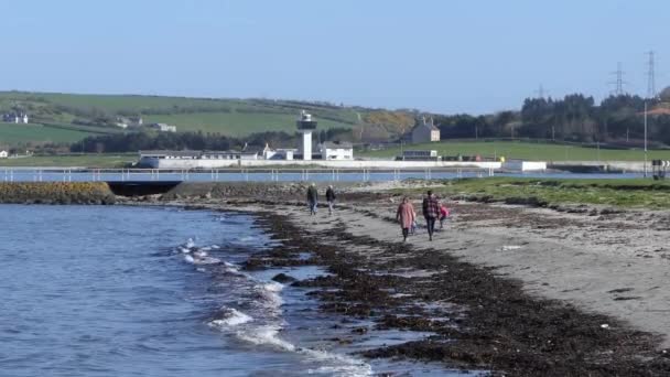 Walkers Beach Larne Harbour Antrim Northern Ireland — ストック動画