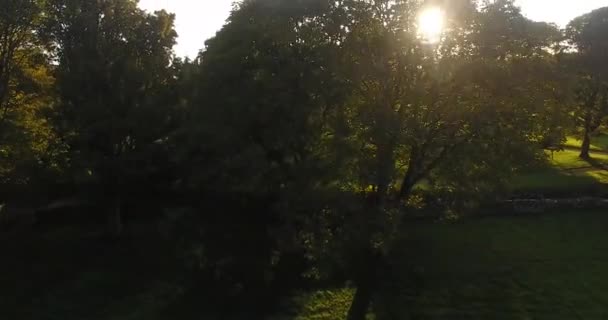 Aerial View Glenarm Castle Sun Throught Trees Ireland — Video Stock