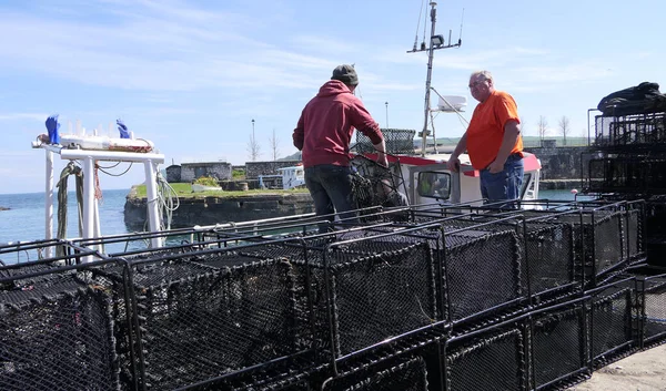 Pescadores Wrasse Vasos Pesca Barco Pesca Carnlough Antrim Irlanda Norte — Fotografia de Stock