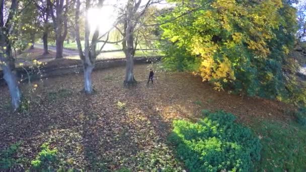 Sonbaharda Rlanda Bir Şatonun Yanındaki Ağaçların Arasından Parlayan Güneş — Stok video