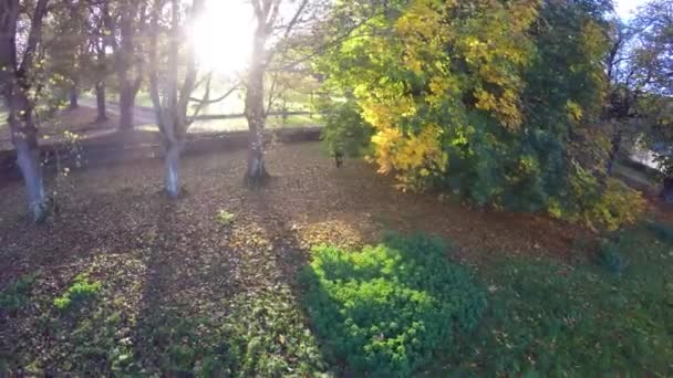 Sol Brillando Entre Los Árboles Junto Castillo Hora Dorada Otoño — Vídeos de Stock