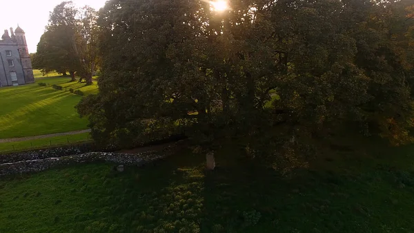 Soleil Brille Travers Les Arbres Côté Château Heure Automne Irlande — Photo