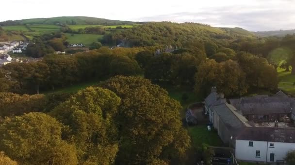 Sol Brilhando Através Árvores Lado Castelo Hora Ouro Outono Irlanda — Vídeo de Stock