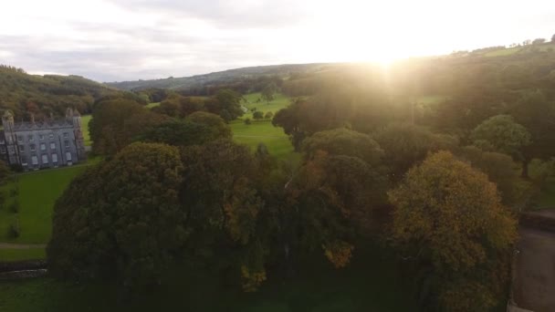 アイルランドの黄金の時間秋に城の横の木を通して輝く太陽 — ストック動画