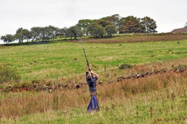 Antrim Kuzey İrlanda 2017 'de çekimde ördek vurmak