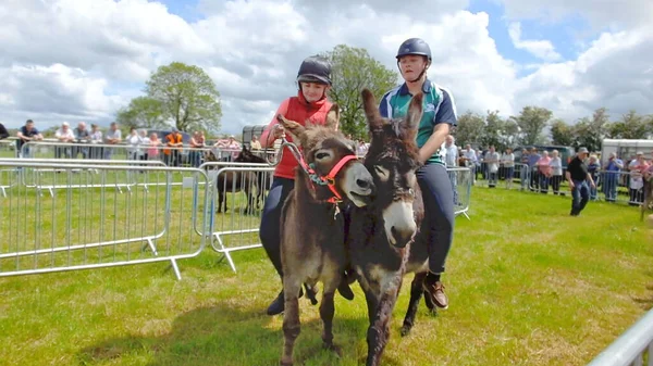 Donkey Derby Racing Cloughmills Irland Juli 2018 — Stockfoto