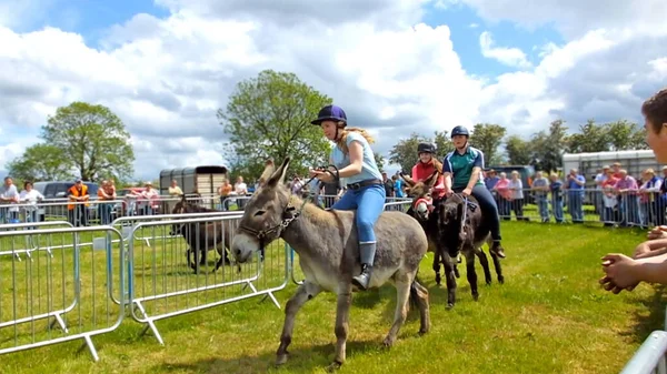 Donkey Derby Racing Cloughmills Ireland 15Th July 2018 — Stock Photo, Image