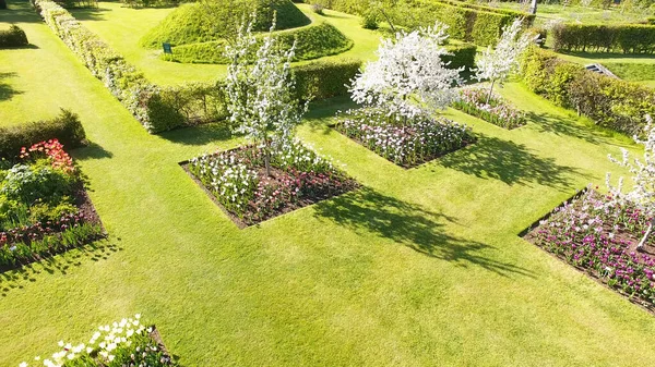 Flowers, bushes and plants in Walled Gardens