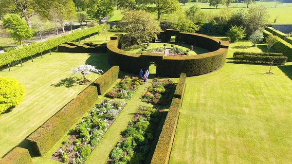 Flowers, bushes and plants in Walled Gardens