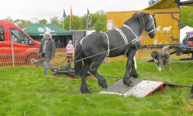 Shanes Şatosu 6 Mayıs 2019 'da Buhar Günü Mülk Antrisi Editörlük,