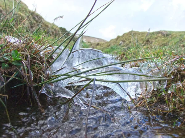 Hielo Sobre Arroyo Con Agua Corriendo Por Debajo Con Hierba — Foto de Stock
