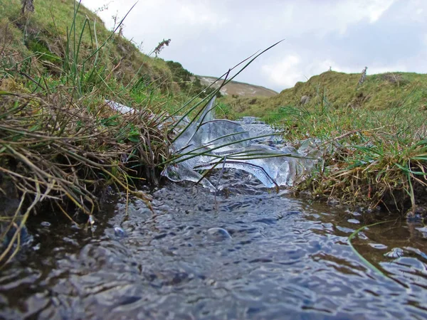 Hielo Sobre Arroyo Con Agua Corriendo Por Debajo Con Hierba — Foto de Stock