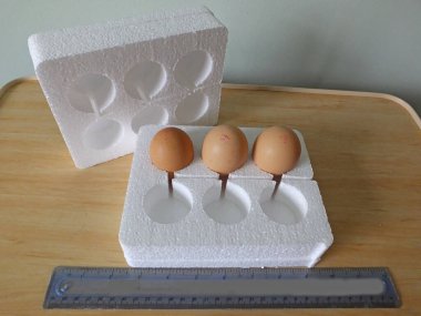 Posta sisteminde gönderilecek çok biçimli yumurta kutuları