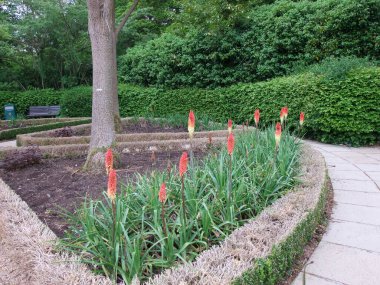 Kuzey İrlanda 'da bir rockçıda kızgın pokerler