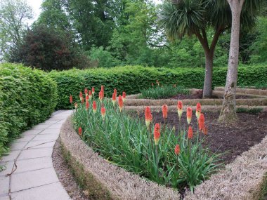 Kuzey İrlanda 'da bir rockçıda kızgın pokerler