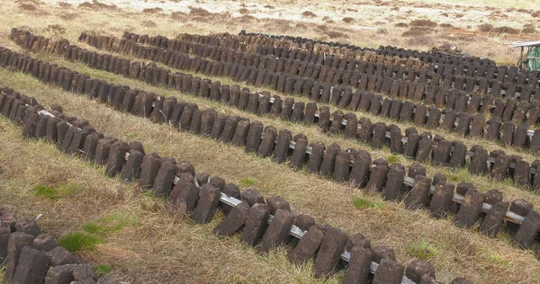 İrlanda 'da Yosun Bataklığında Çim Turbası' nı kürek kürek kesiyorum. 