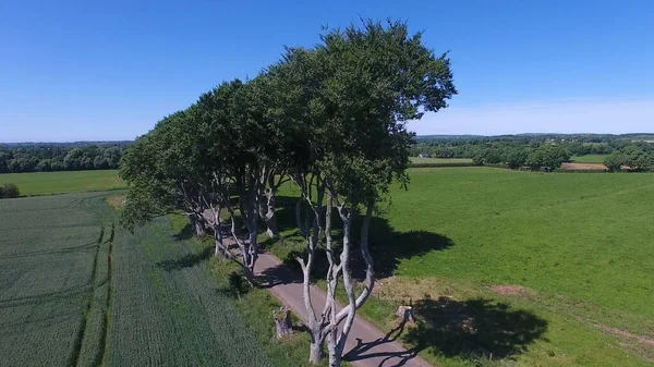 The Dark Hedges Game of Thrones location Northern Ireland