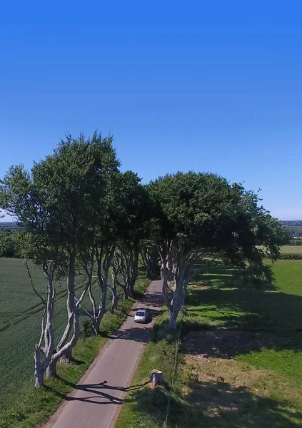 Dark Hedges Game Thrones Emplacement Irlande Nord Ciel Bleu Fond — Photo