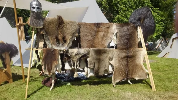 Armamento Armadura Vikingos Utilizados Lucha Con Espadas Escudos —  Fotos de Stock